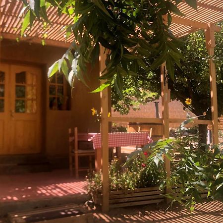 Puma Cottage Horcón Екстериор снимка