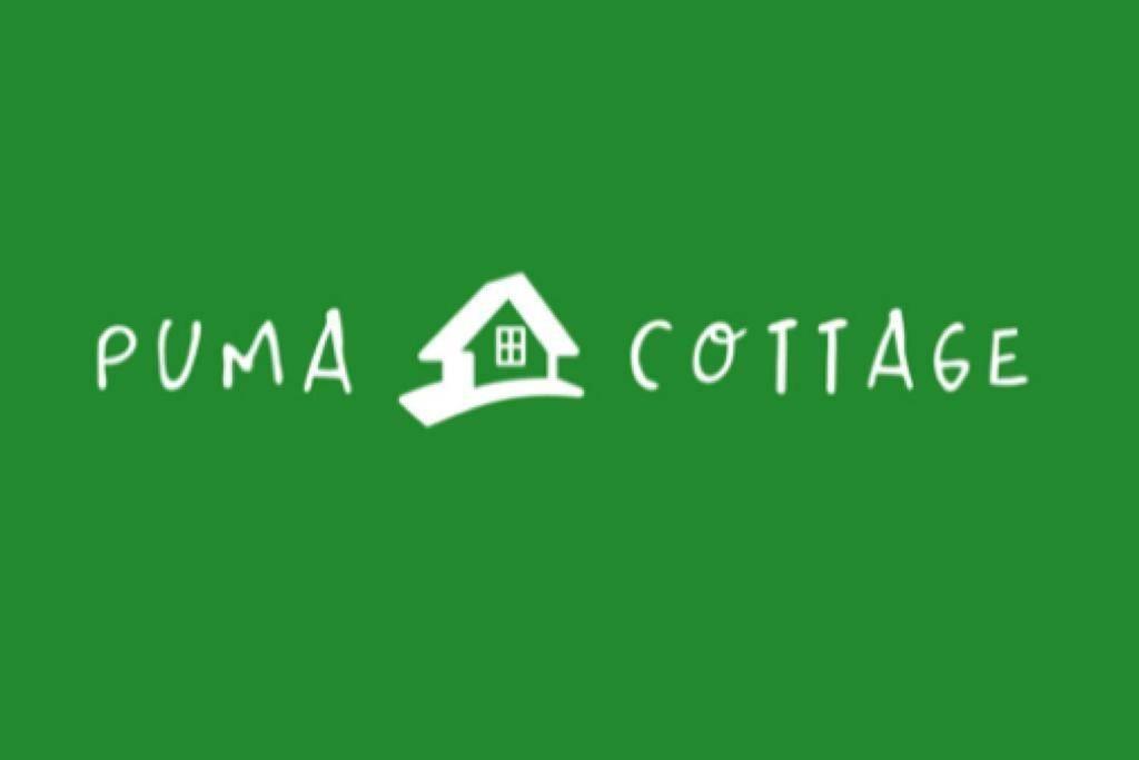 Puma Cottage Horcón Екстериор снимка