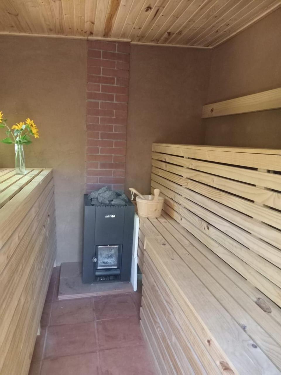 Puma Cottage Horcón Екстериор снимка